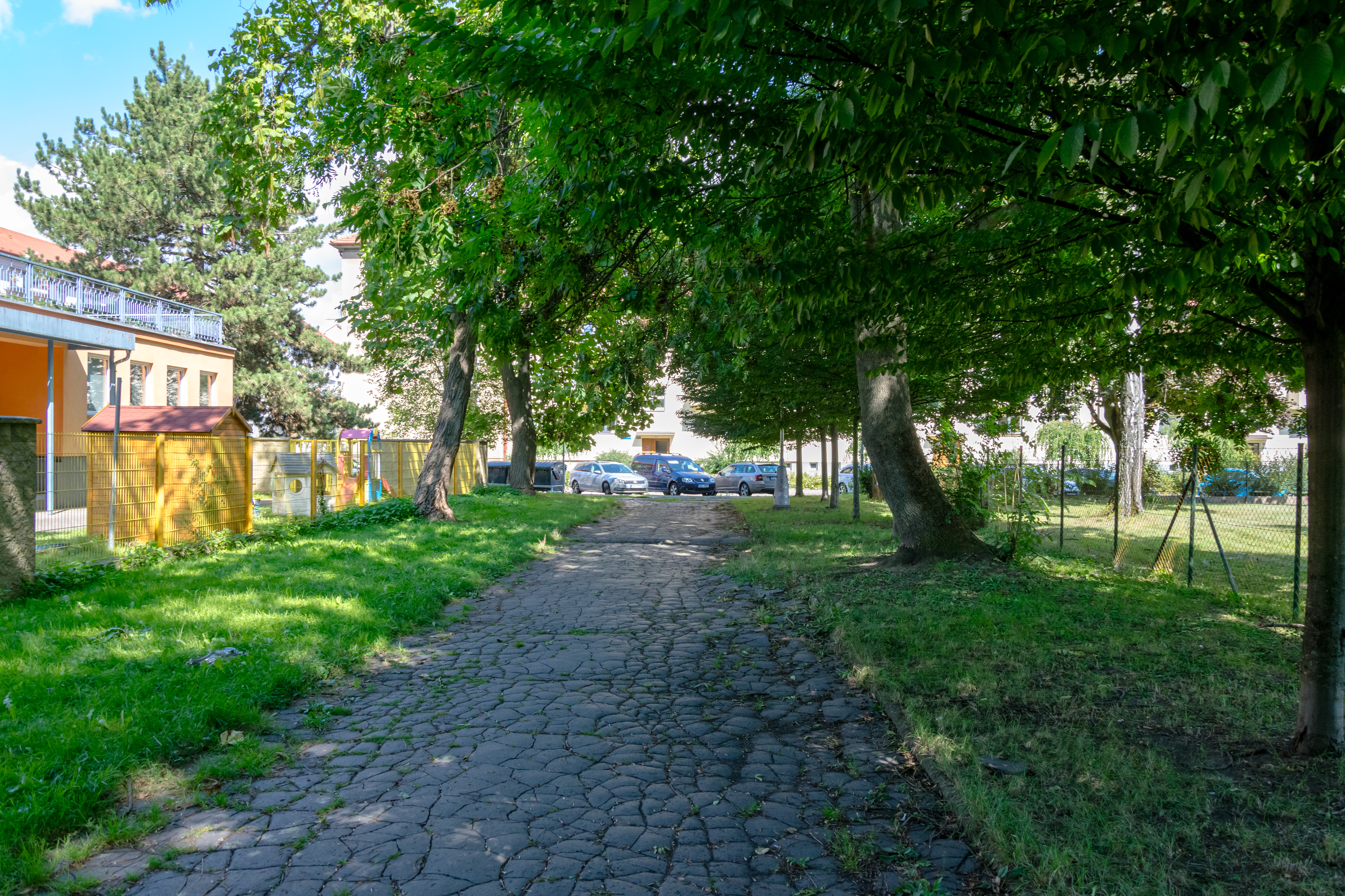cracked asphalt path in a park