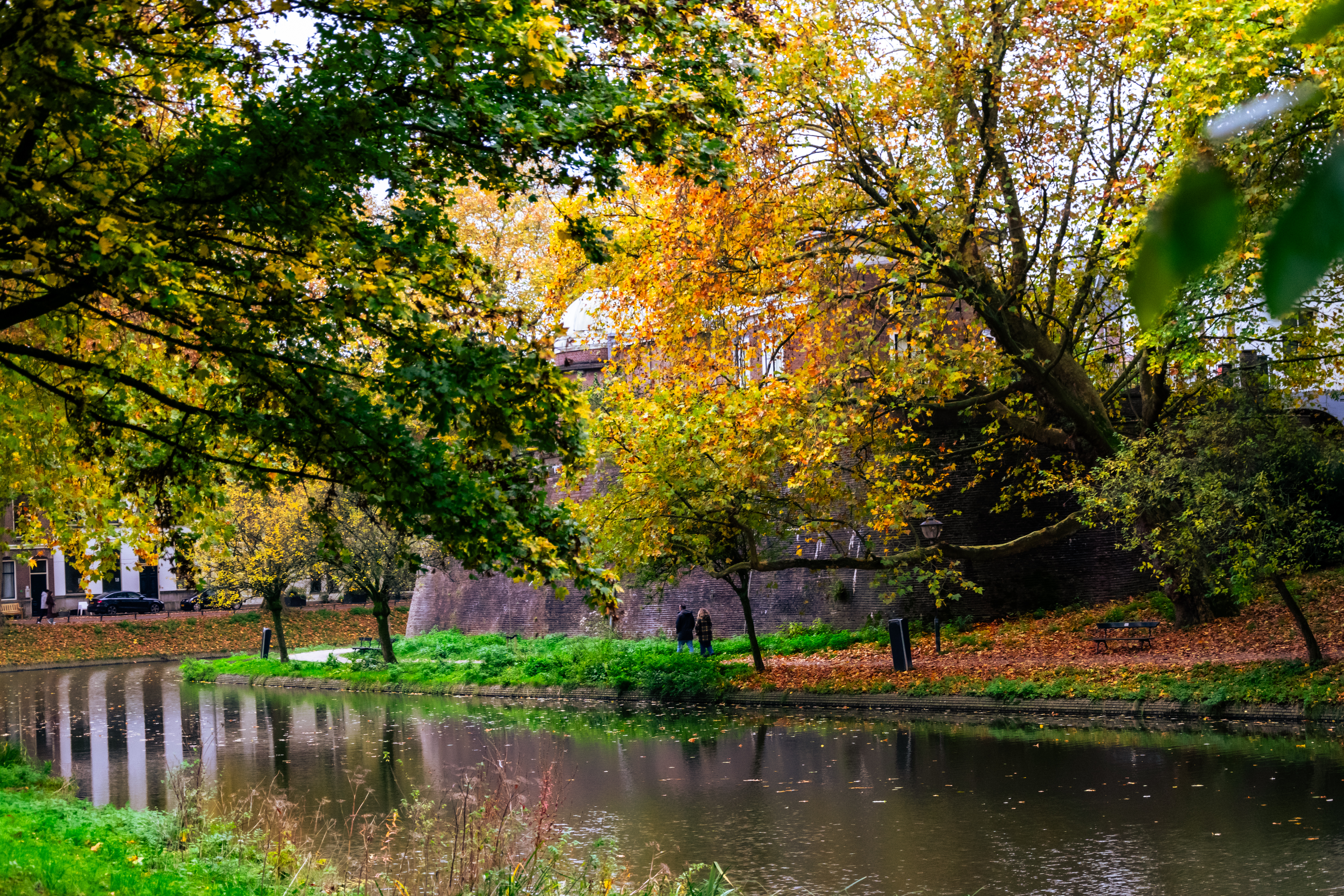 autumny trees around a canal