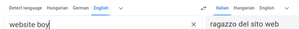 english -> italian google translate screenshot. website boy is translated as "ragazzo del sito web"