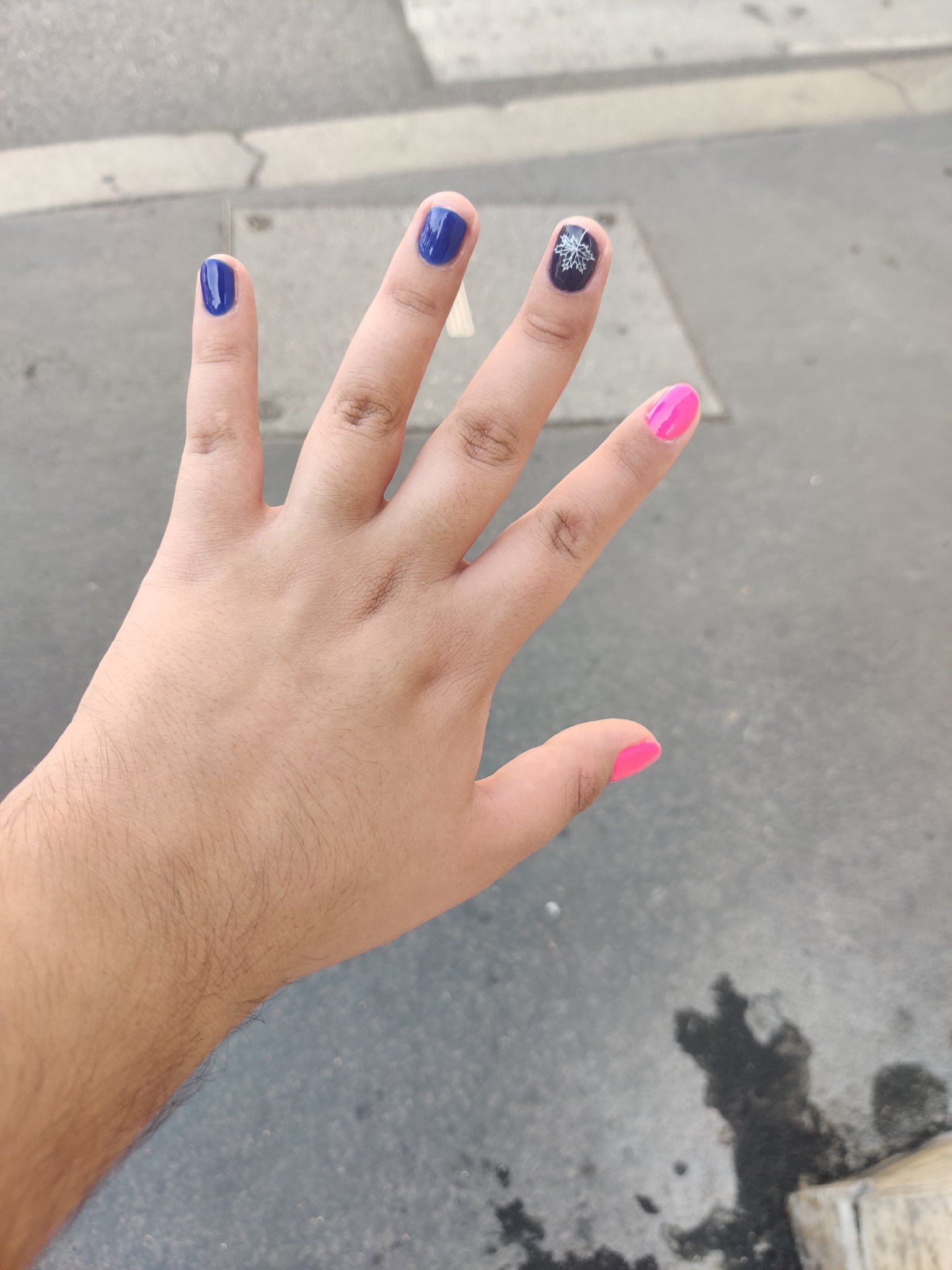 picture of nails on a left hand in colors of the bi flag, 2 blur, 1 purple and 2 pink. the middle finger has a leaf on it.
