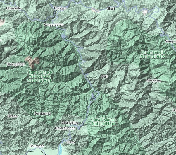 screenshot of terrain map. the road is dark grey on dark green.