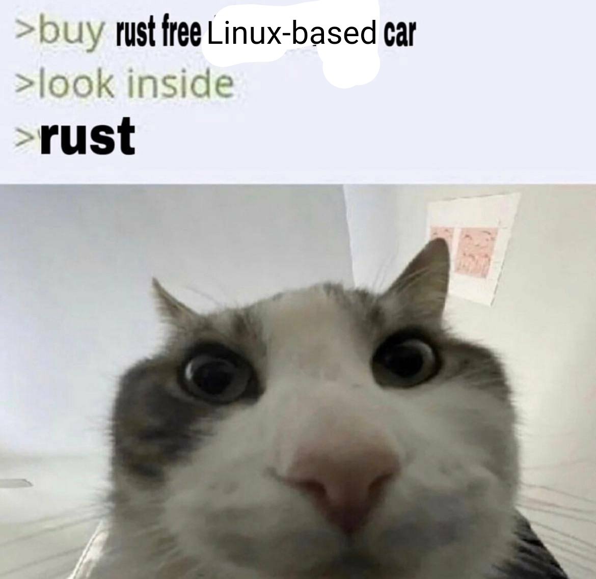 buy rust free Linux-based car; look inside; rust
