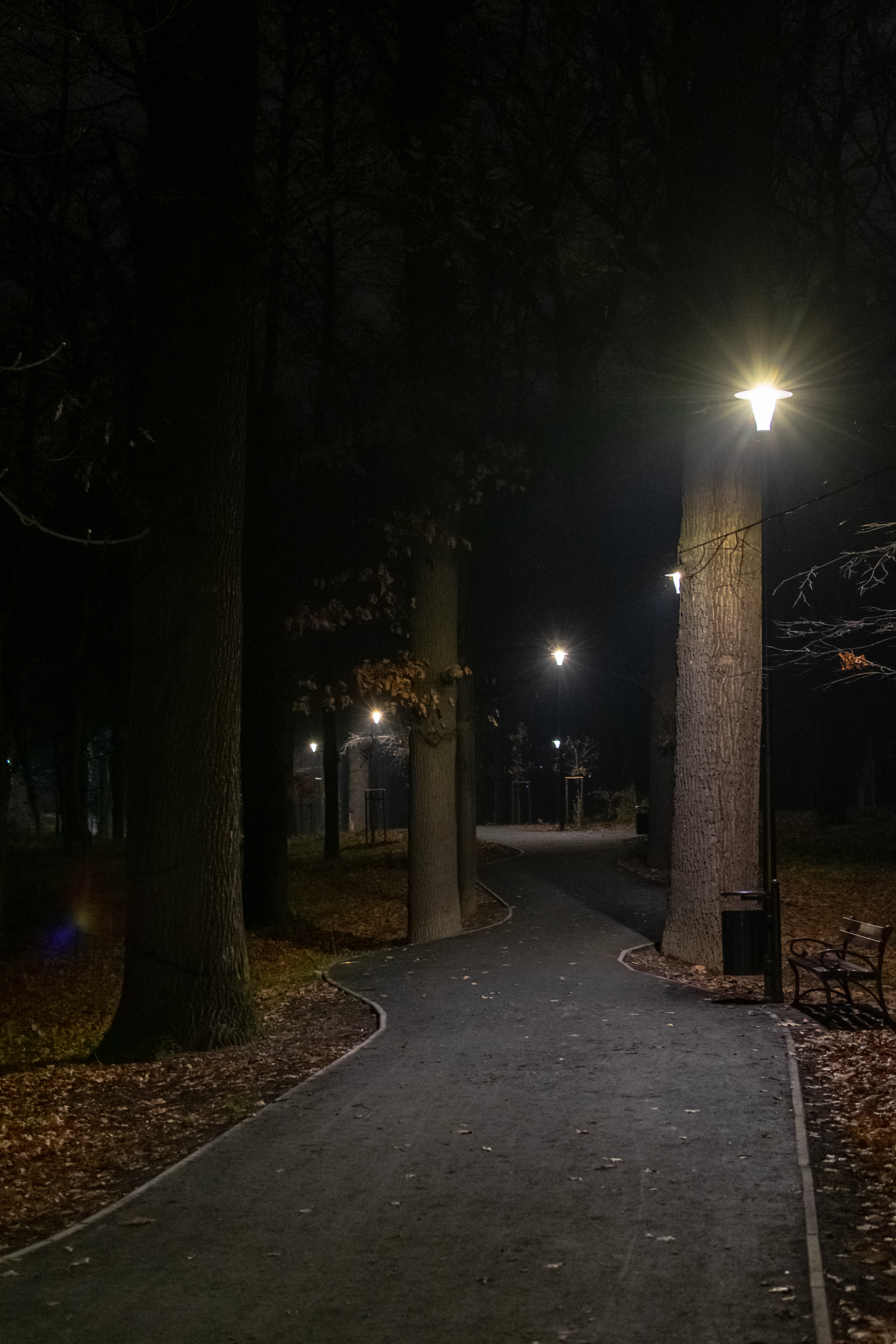 illuminated walking path with a weird bend