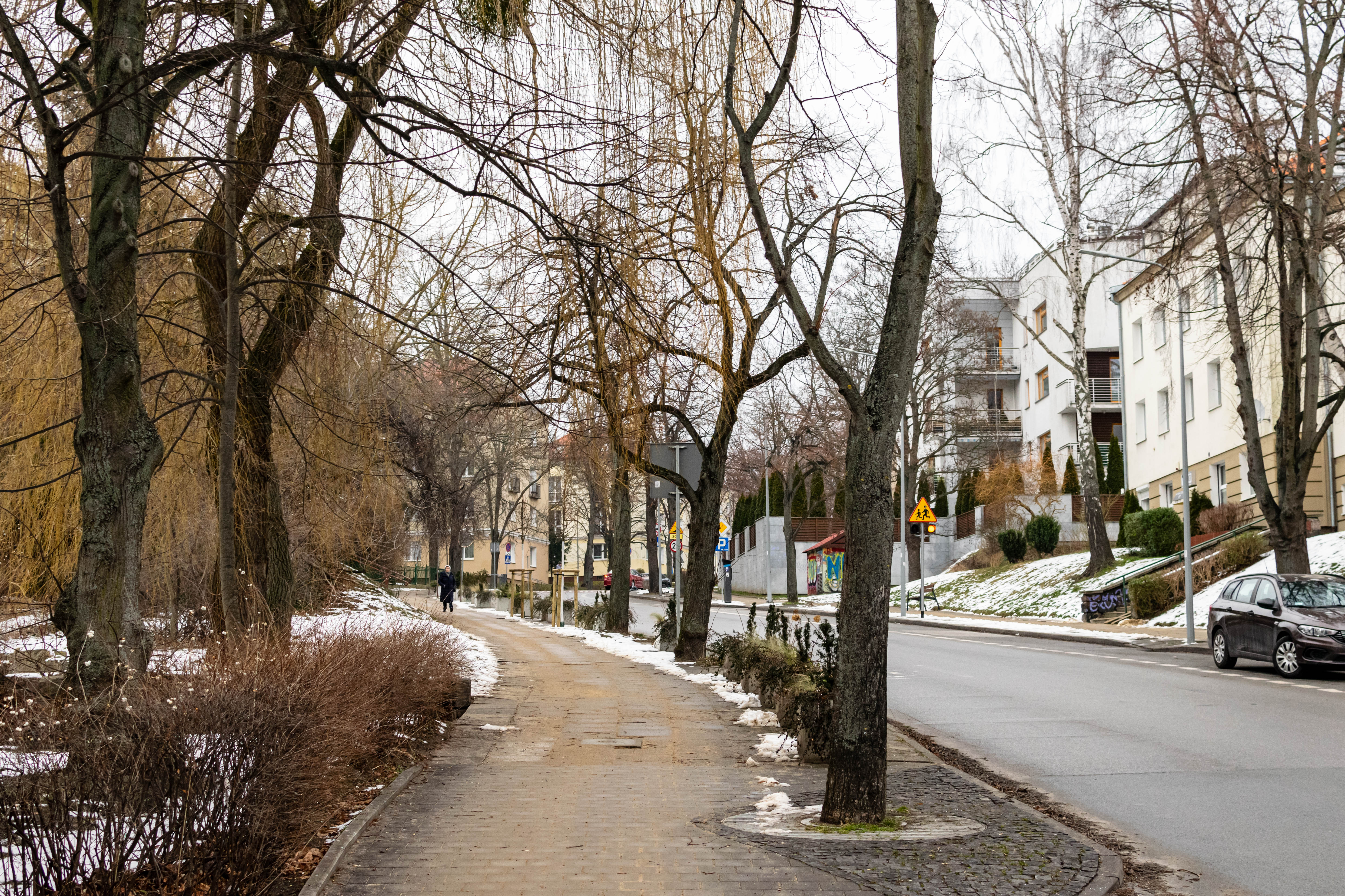 quite poorly shoveled sidewalk