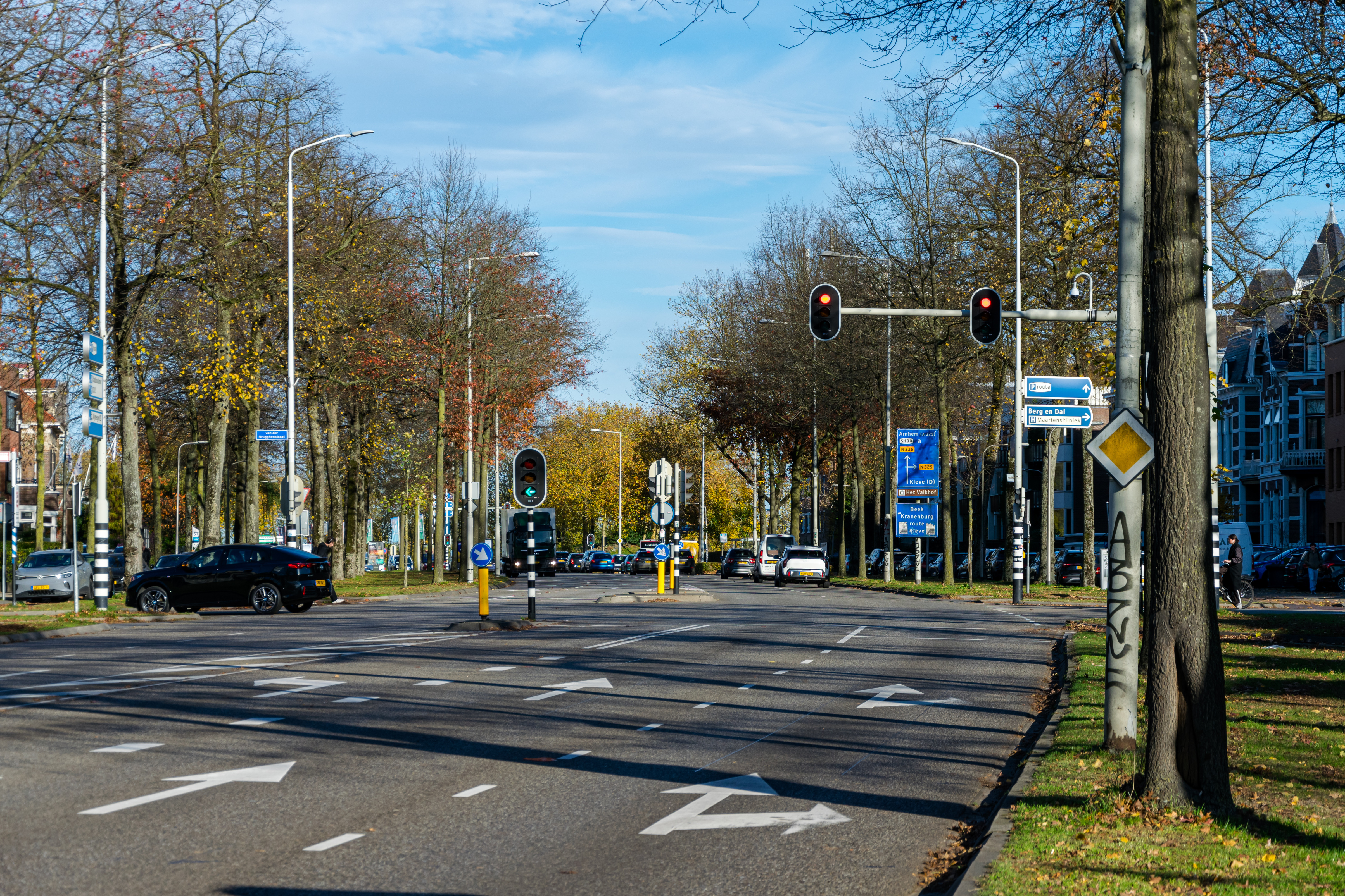 A road lined with trees