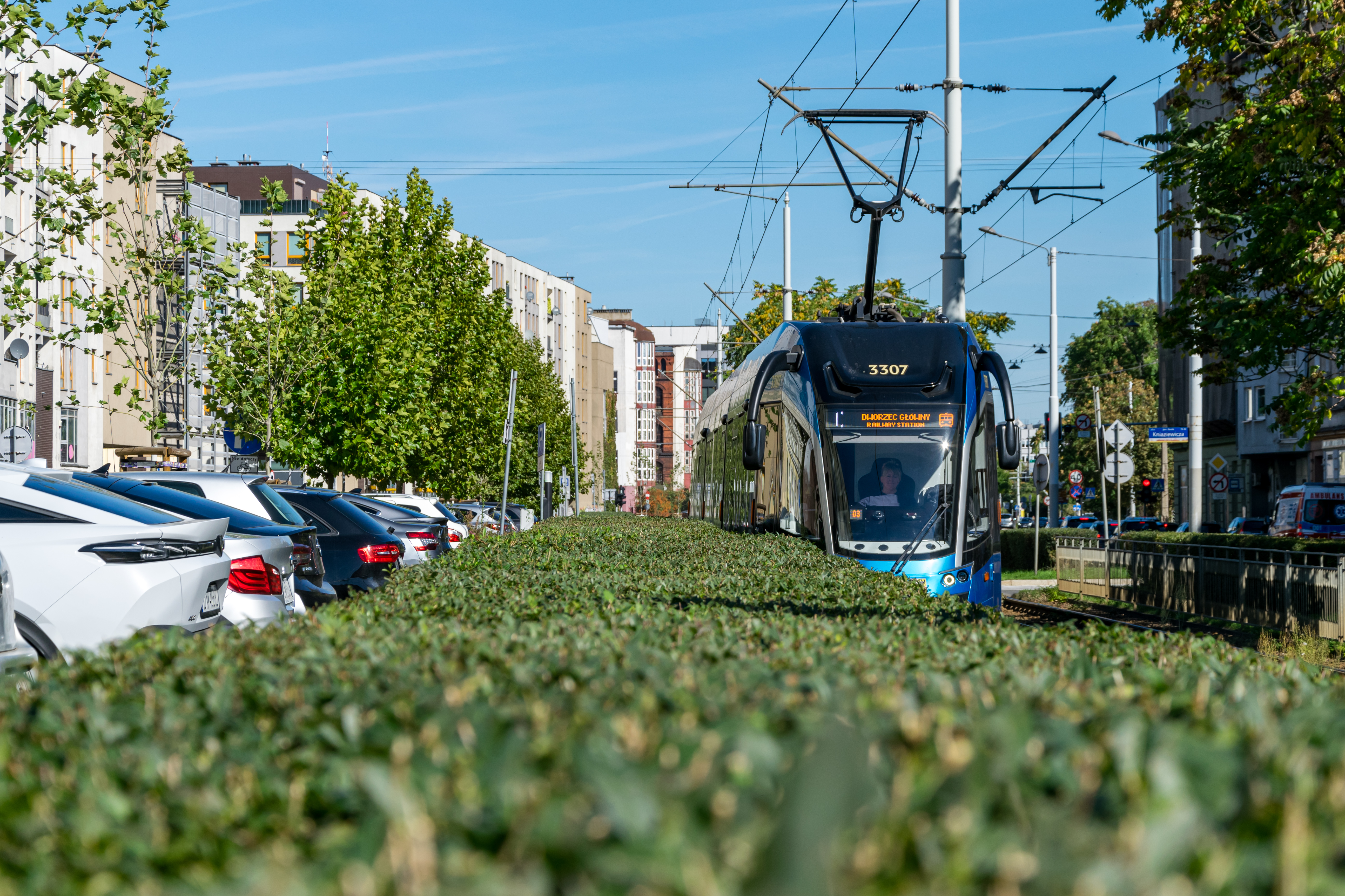 blue tram partially obscured by a hedge, with multi-storey buildings in background
