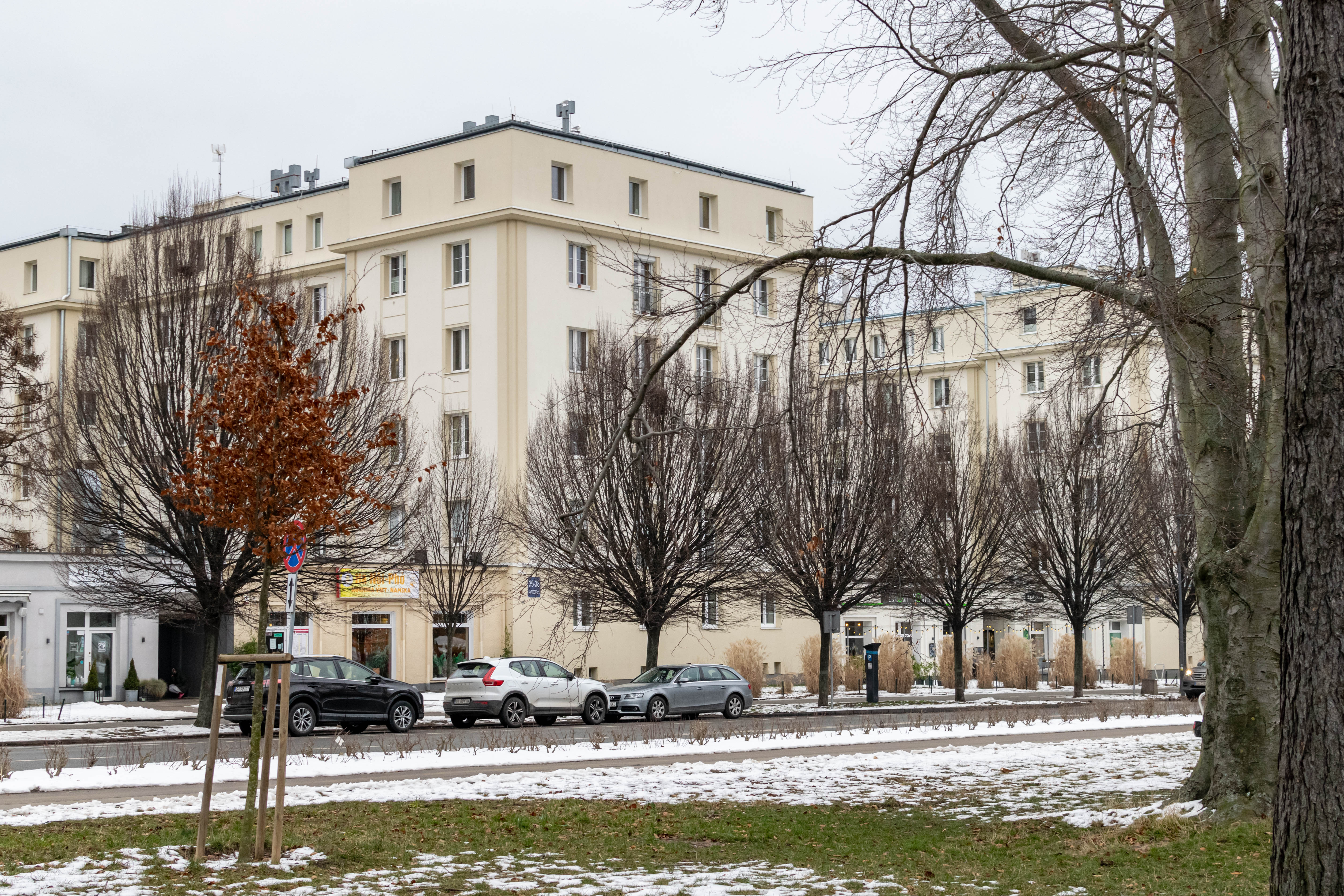 creamy modernist building behind leafless trees