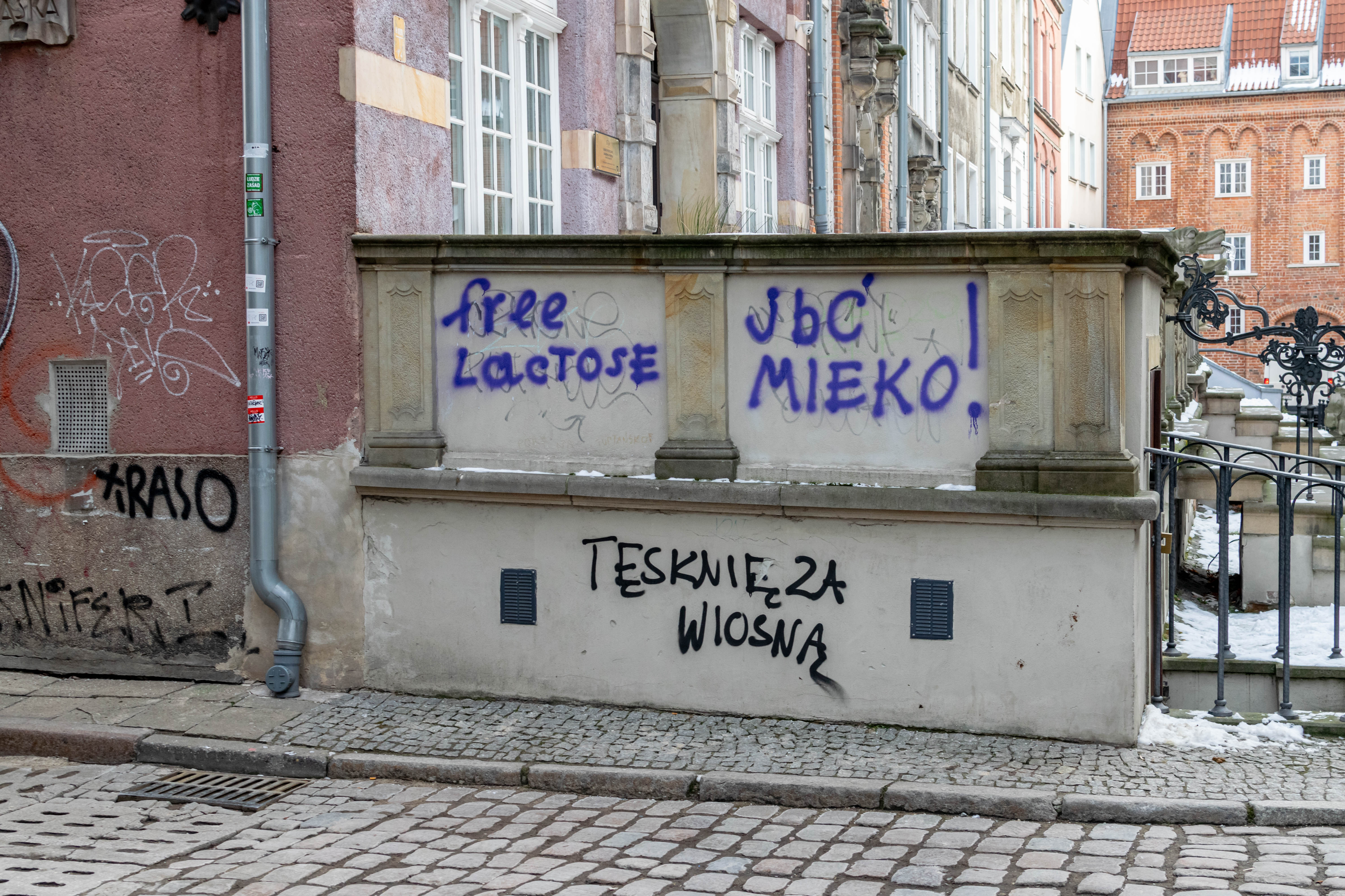 grafitti on a wall "free lactose", "jebać mleko"(translated: "fuck milk"), "tęsknię za wiosną" ("I miss spring")