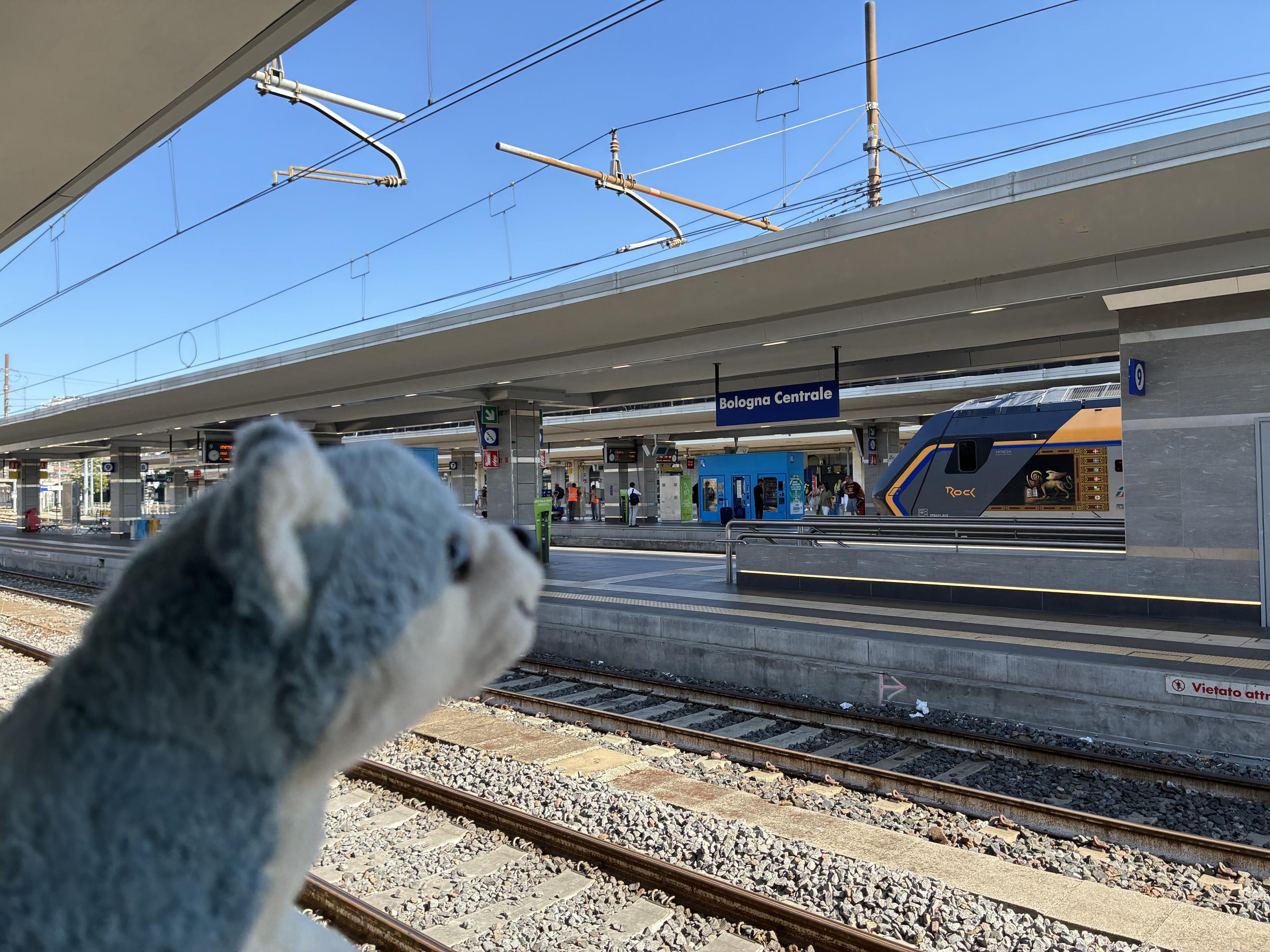 dog plushie looking at the upper platforms of Bologna Centrale