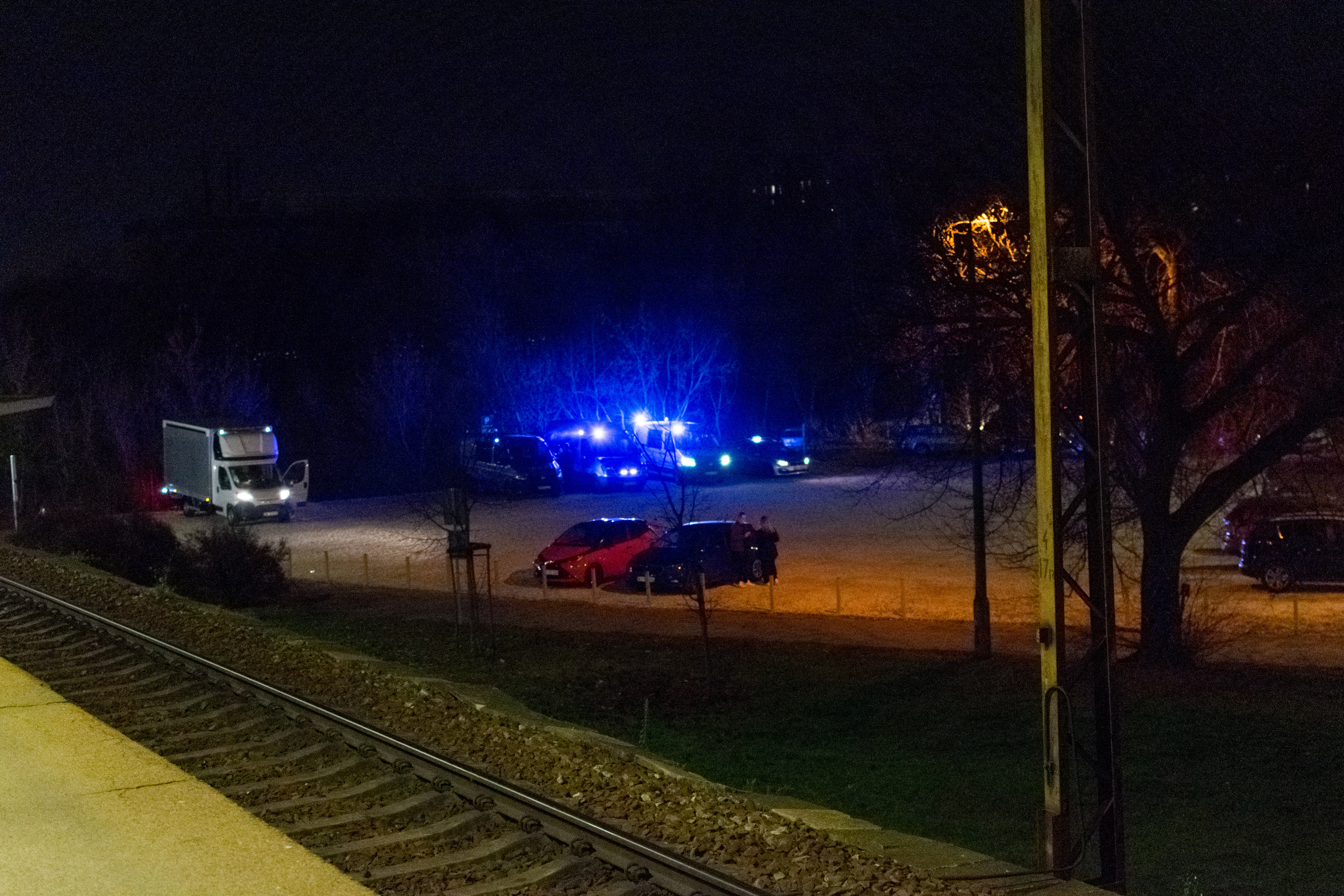 blue pigs waiting to catch a mikol