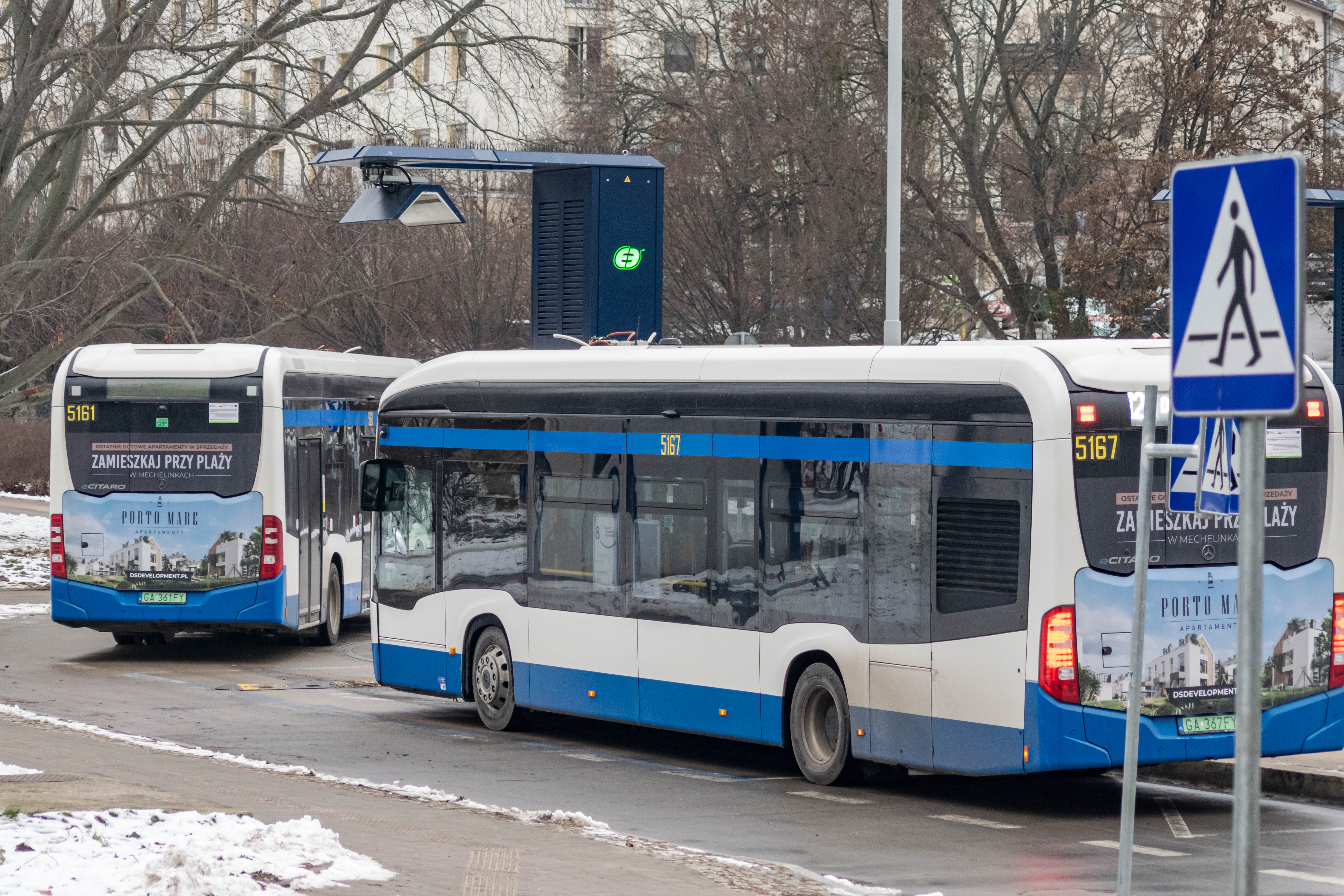 two white-blue electric buses at a bus loop