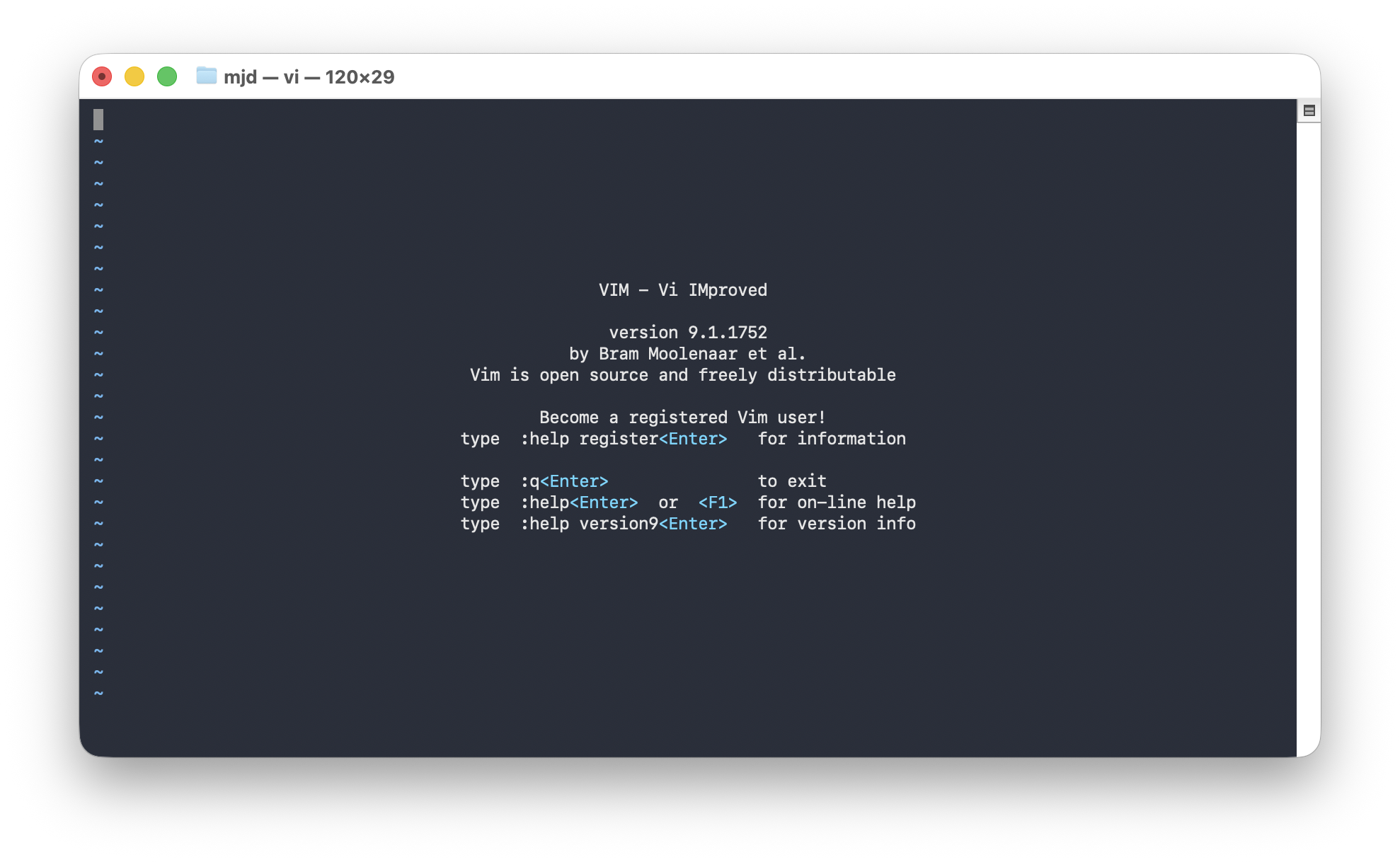 Vim on MacOS Vim on MacOS