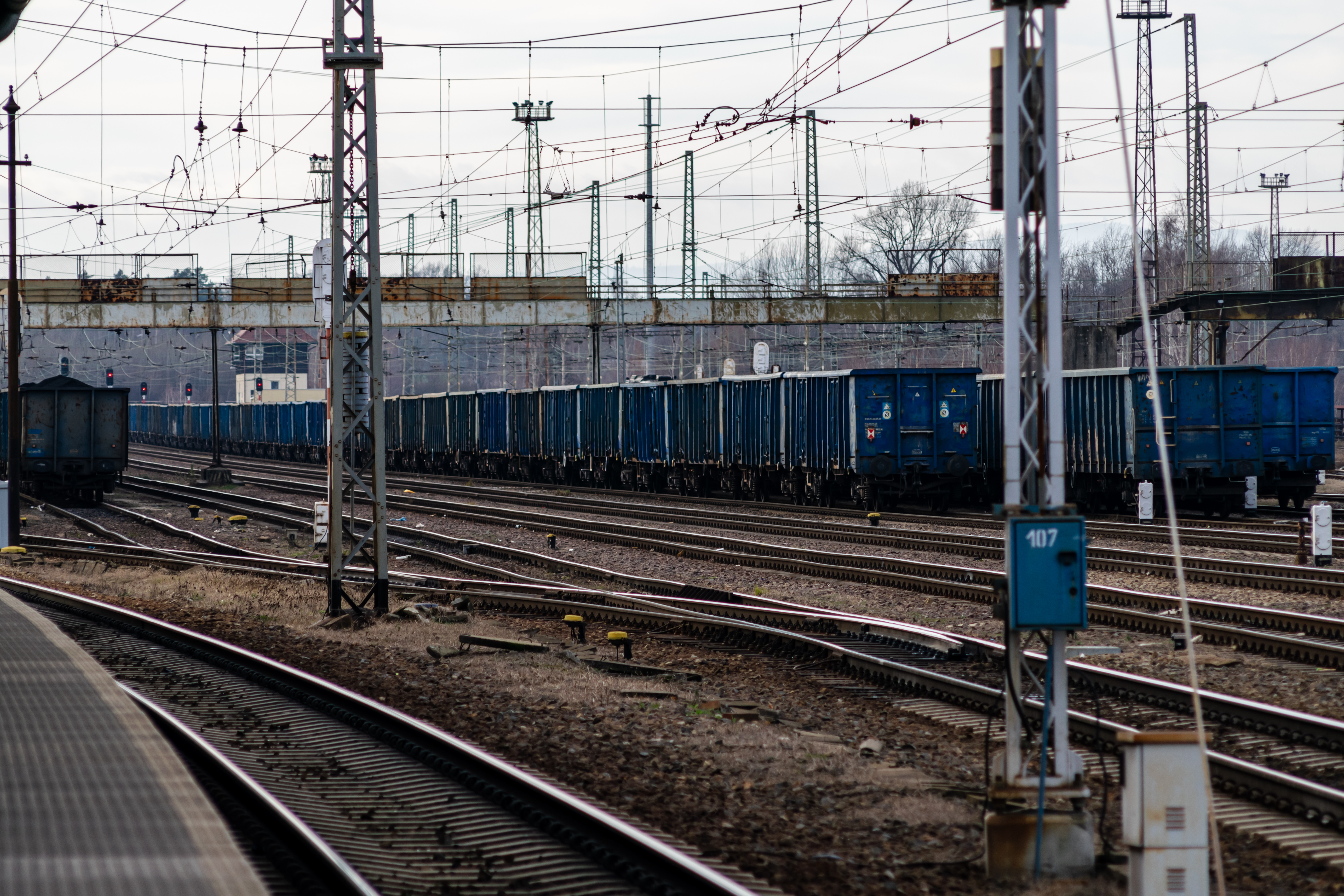 a lot of freight cars