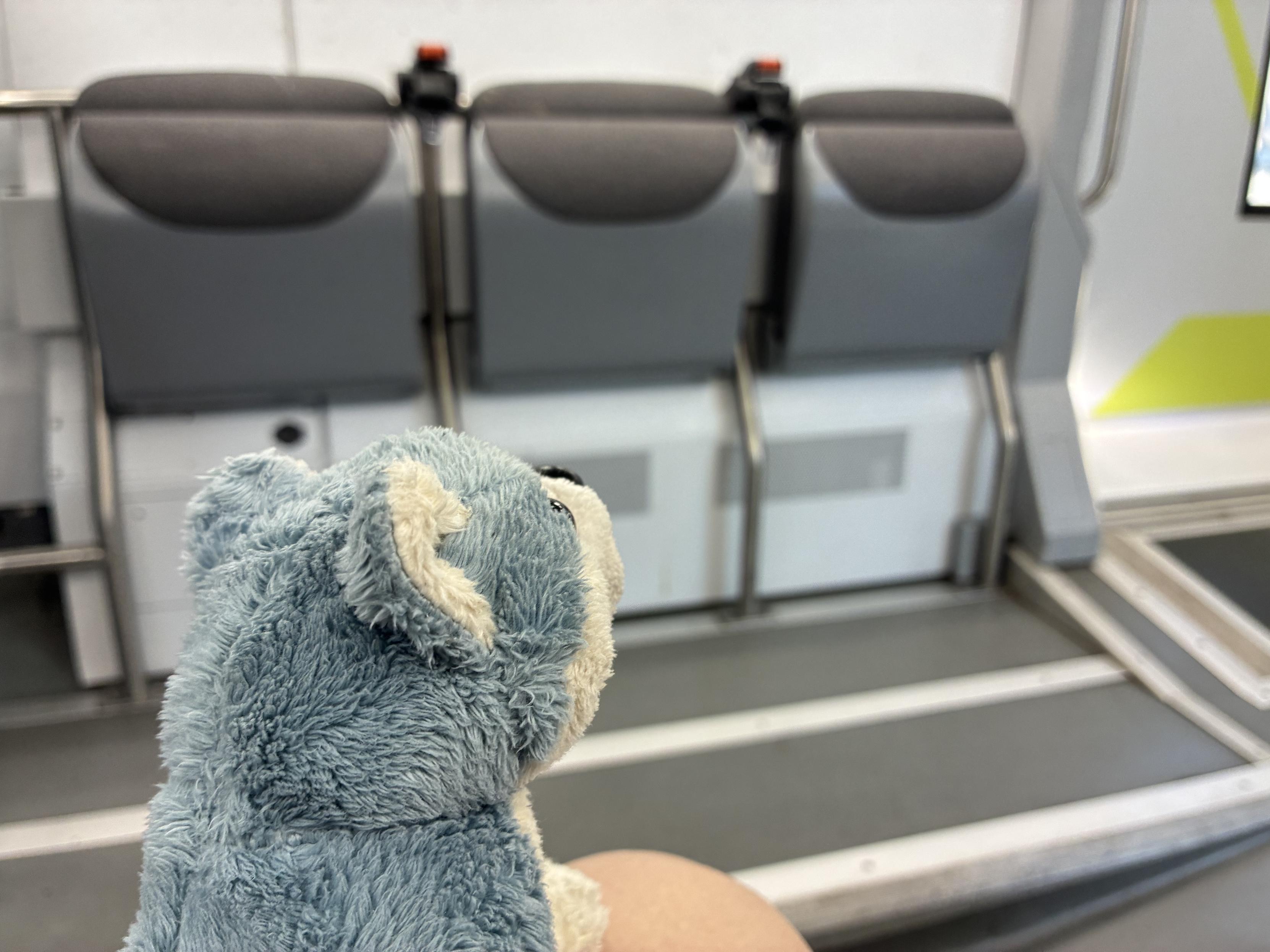 dog plushie sitting on a lap, looking at folded seats on the other side of the train corridor