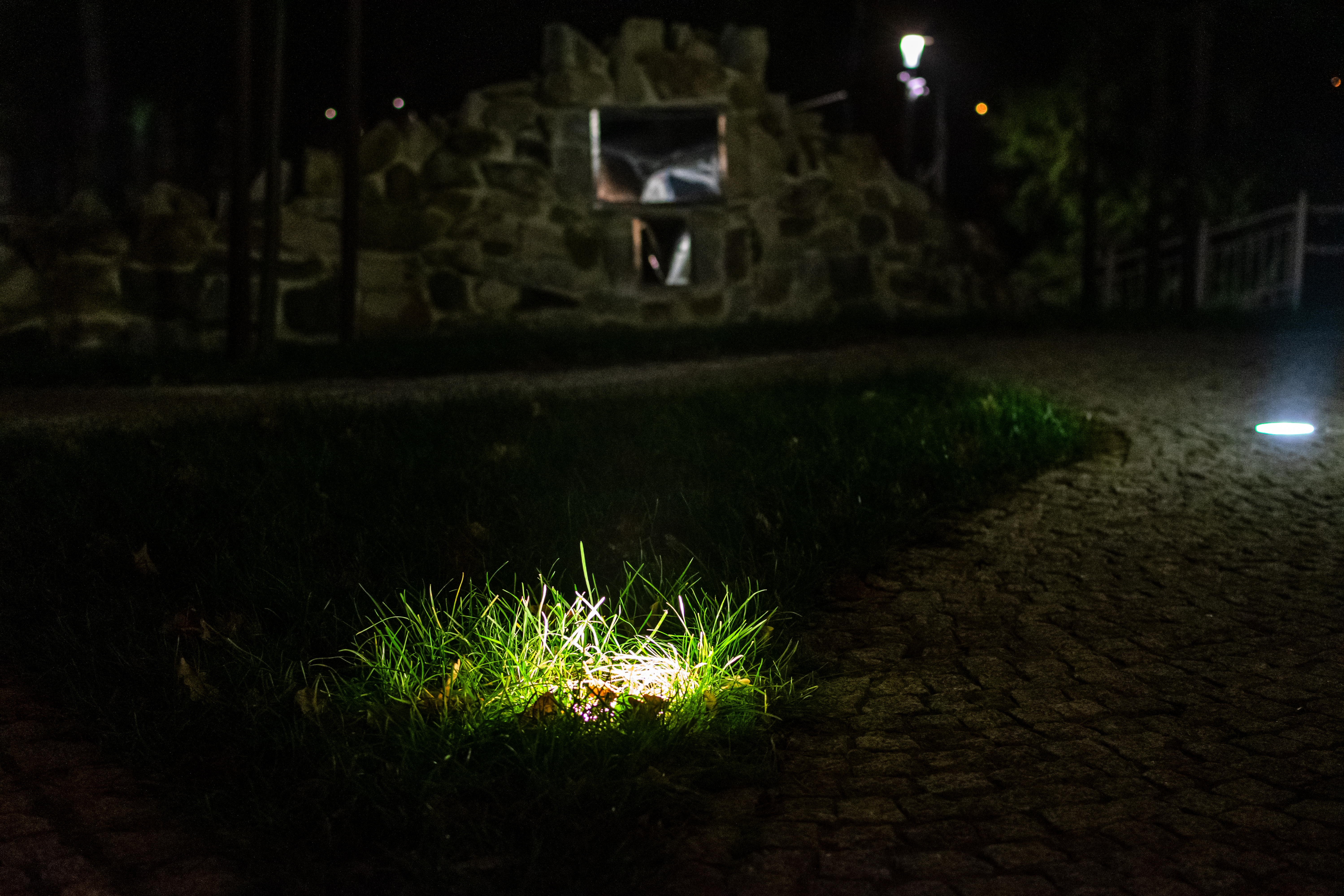 light hidden in grass