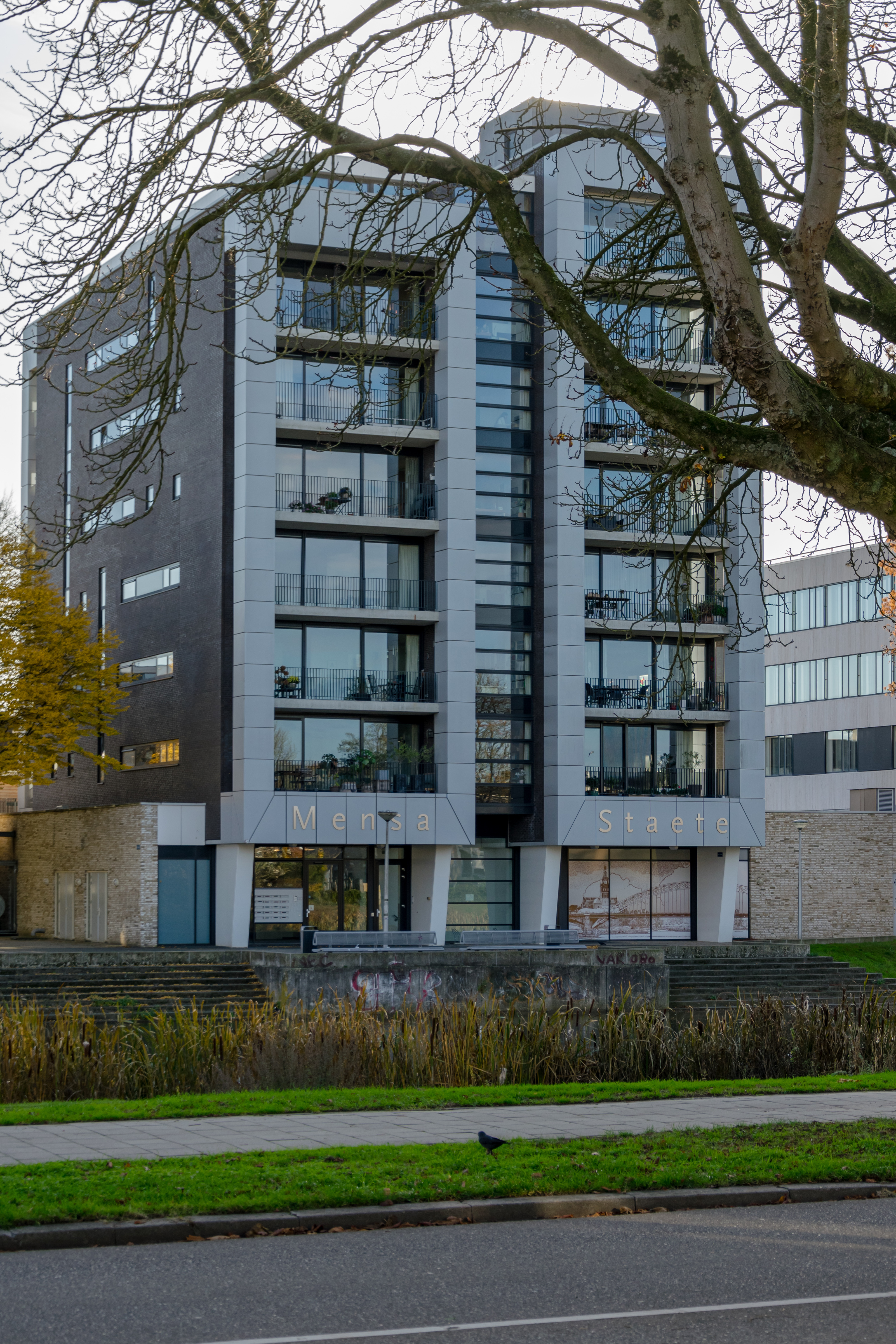 Also a block with lots of glass