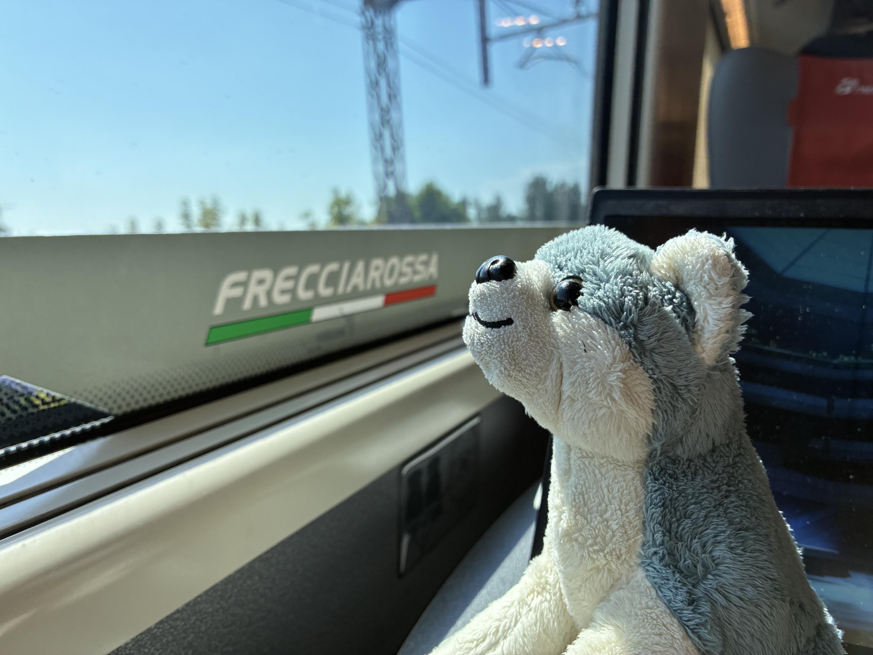 dog plushie looking out the window of a Frecciarossa train, with the branding covering the bottom part of the window; in the background there’s a laptop screen and a headrest of the opposite seat, with a red “Trenitalia” branded cover