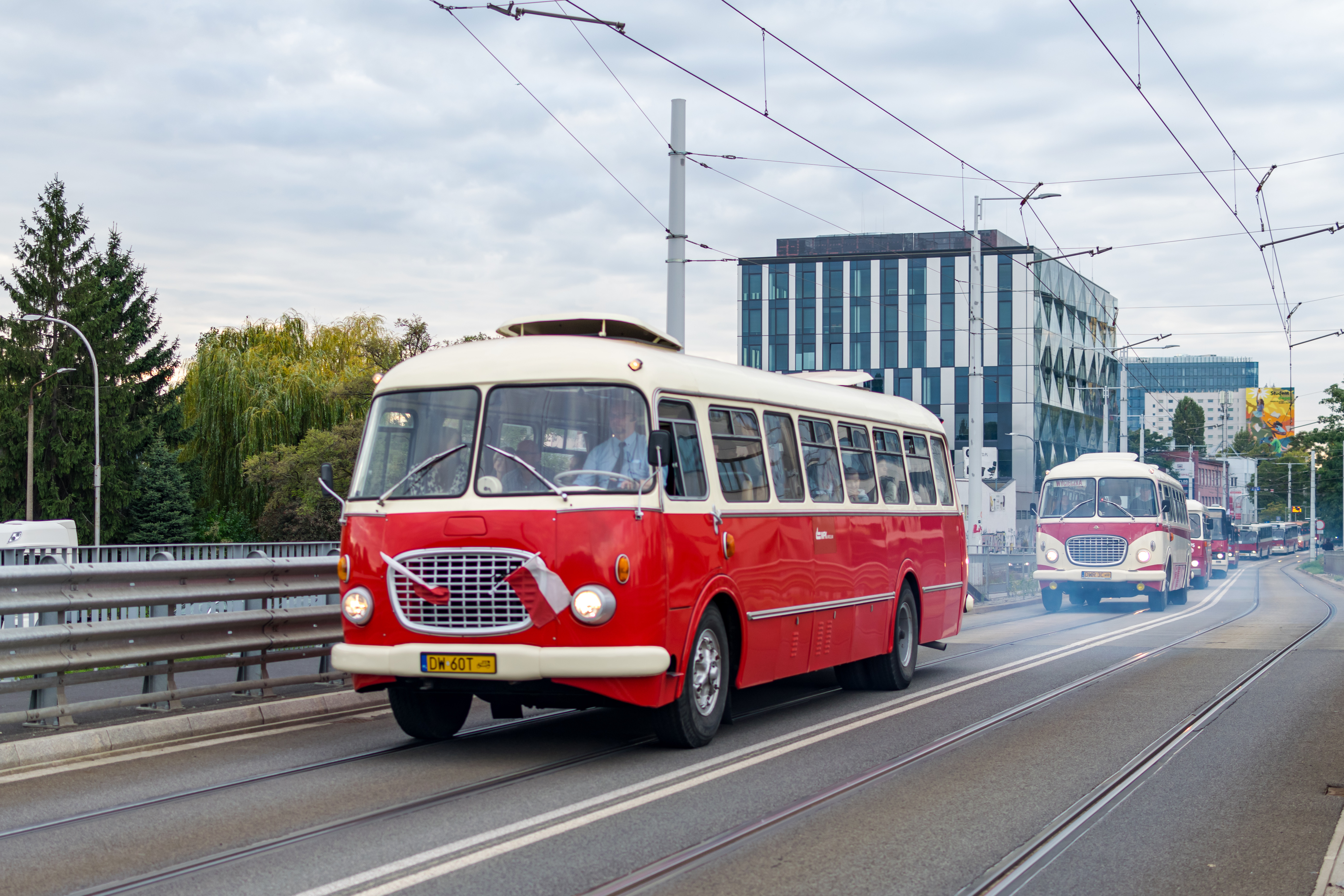 White-red Jelcz 272 MEX