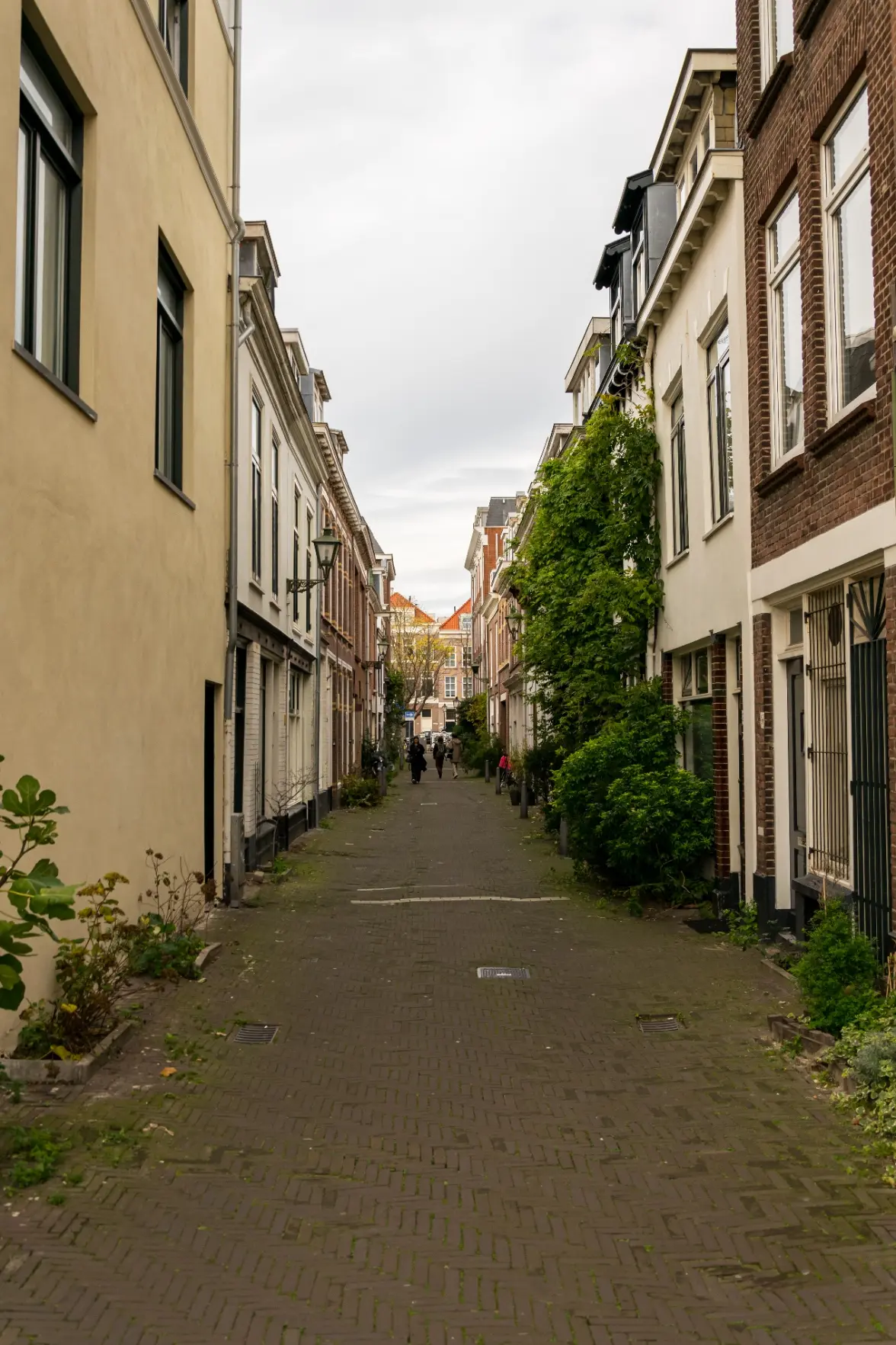 narrow street with lots of greenery
