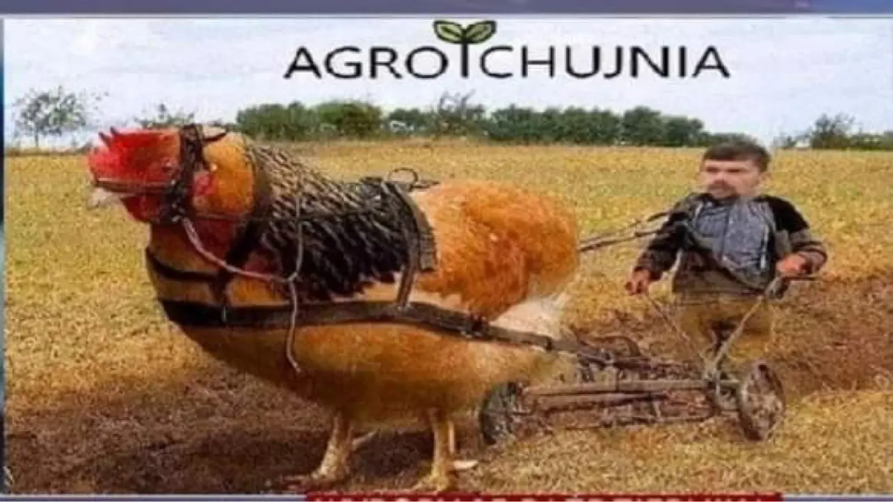 agrochujnia