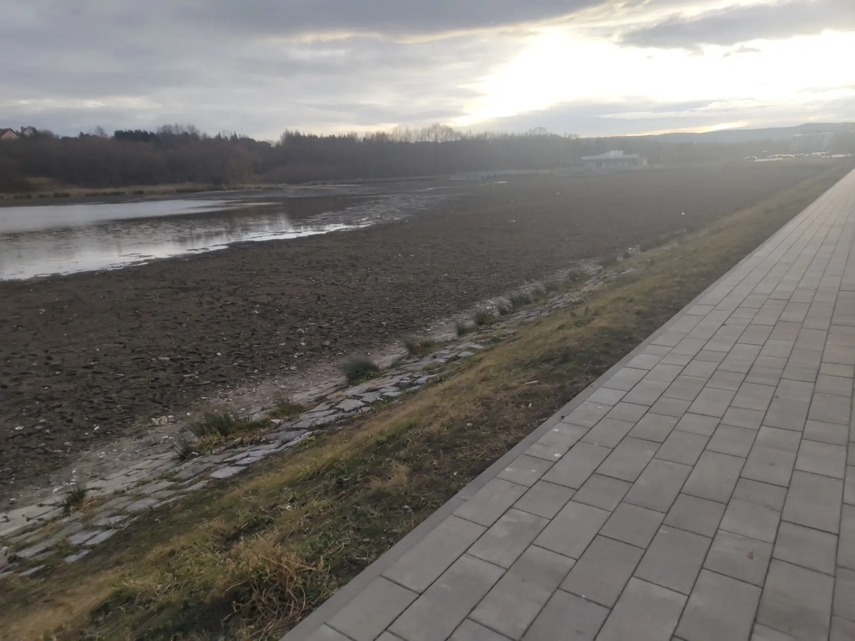 lake is full of shit