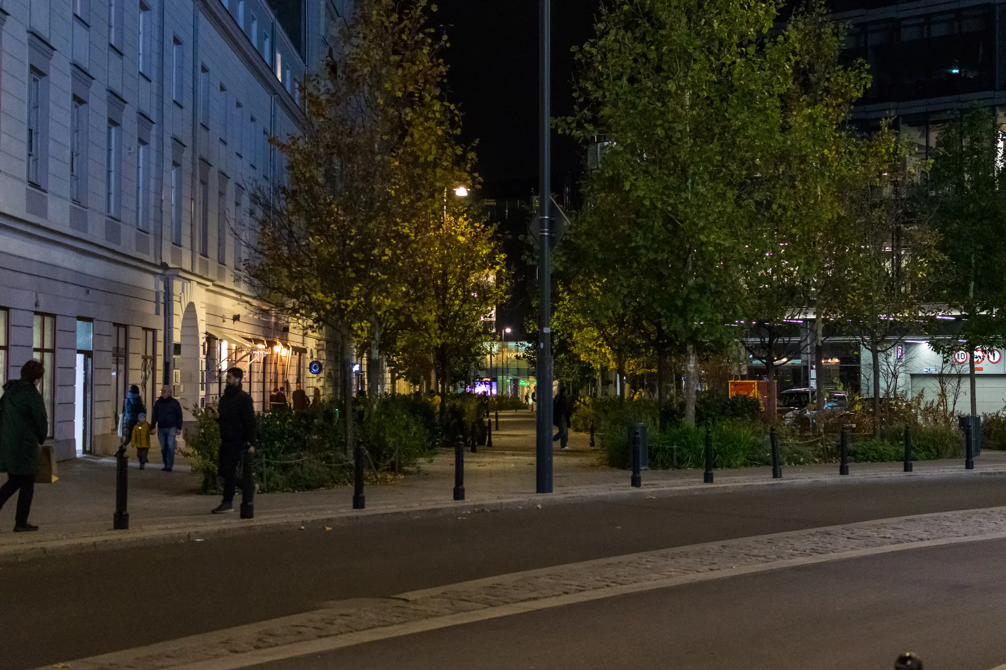 Pedestrian-only street lined with trees at night