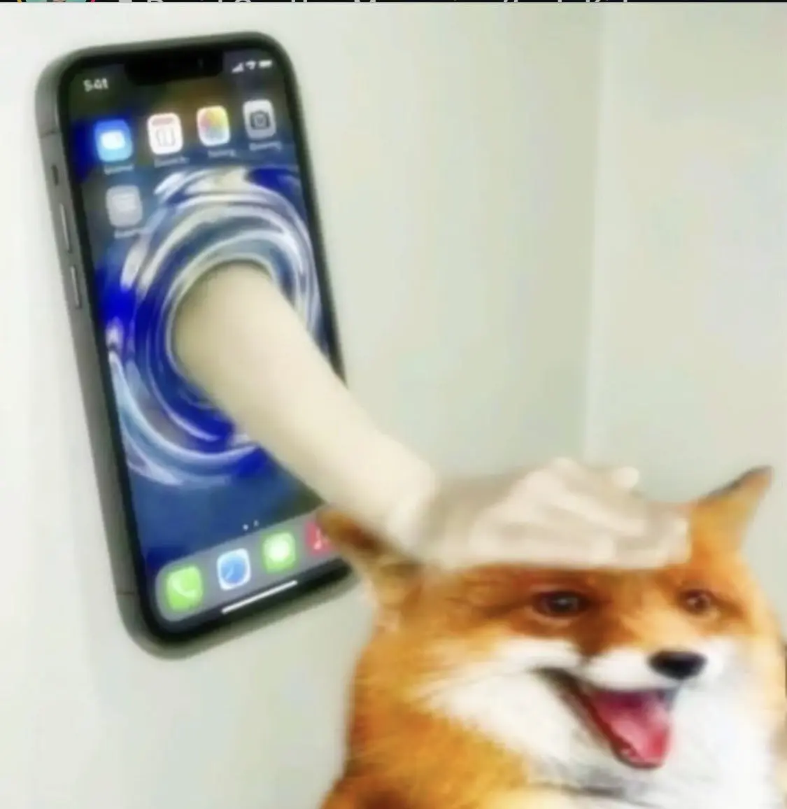 happy fox getting patted by hand that has showed up through a portal in a phone